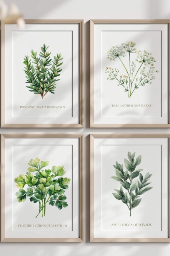 free printable plant wall art