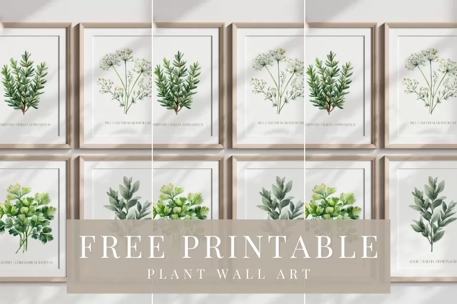 free printable plant wall art