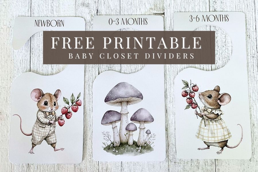 free printable baby closet dividers